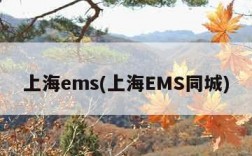 上海ems(上海EMS同城)