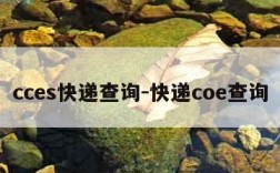 cces快递查询-快递coe查询