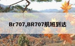 Br707,BR707航班到达