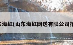 山东海红(山东海红网送有限公司招聘)