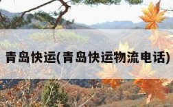 青岛快运(青岛快运物流电话)