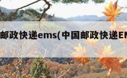 中国邮政快递ems(中国邮政快递EMS官网)